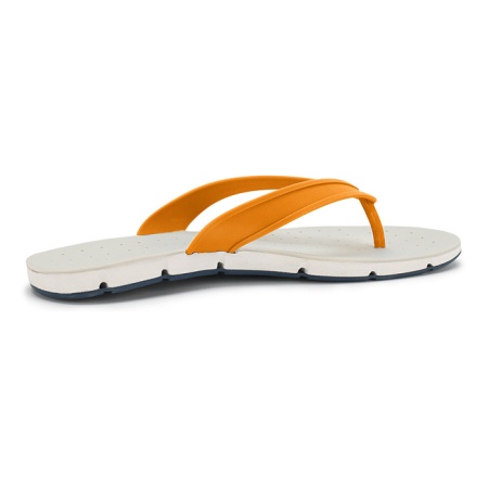 �������� ������� 42 ���������